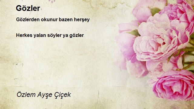 Özlem Ayşe Çiçek