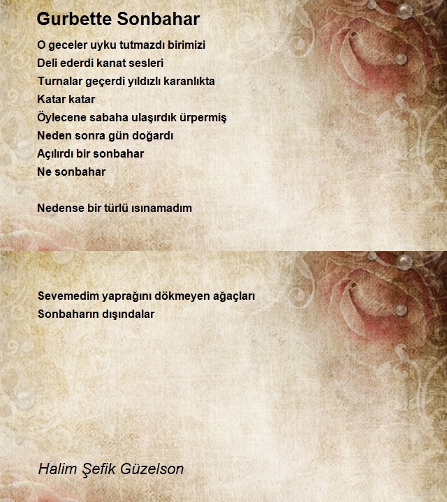 Halim Şefik Güzelson