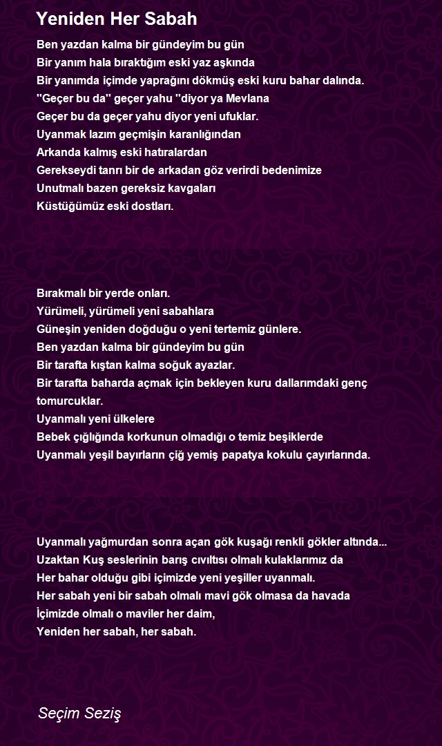 Seçim Seziş