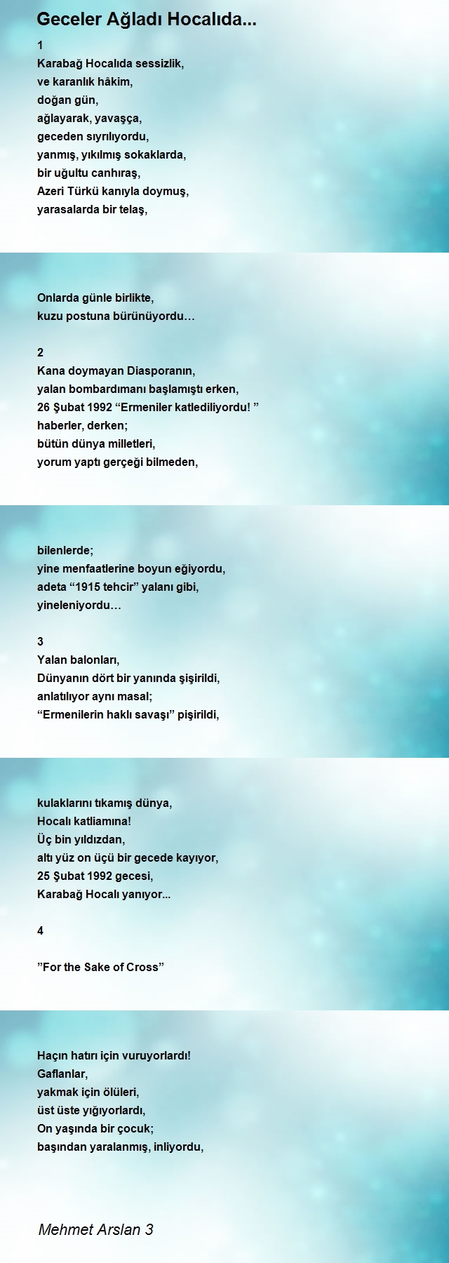 Mehmet Arslan 3