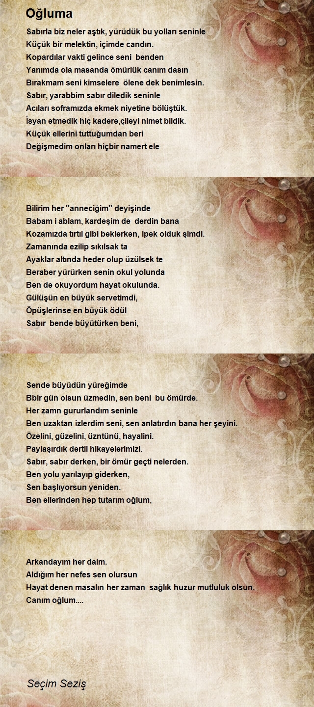 Seçim Seziş
