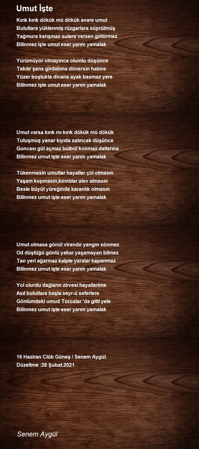 Senem Aygül