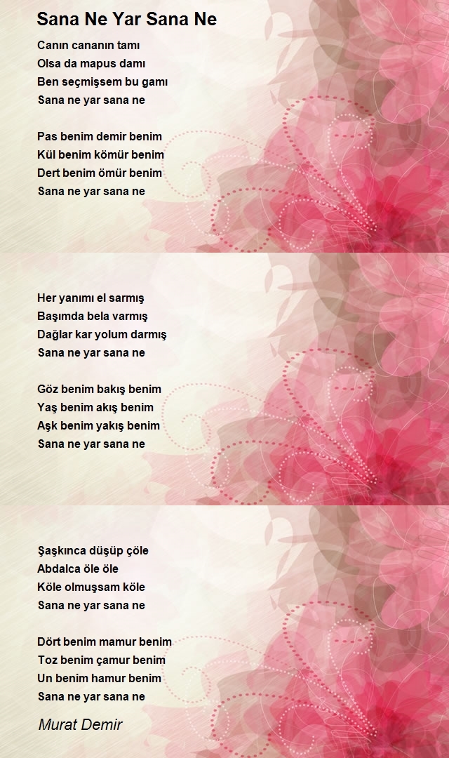 Murat Demir