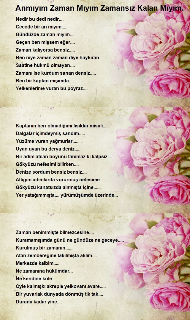 Songül Akgün 2