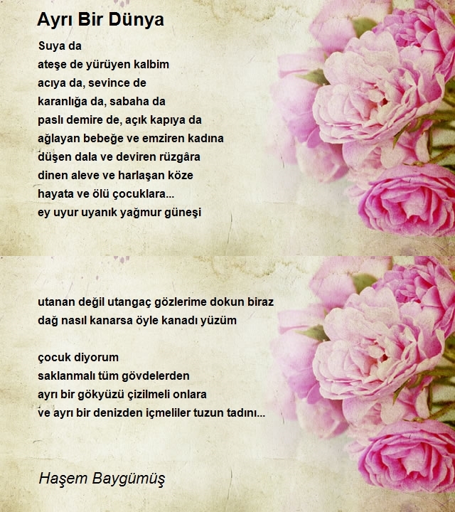 Haşem Baygümüş