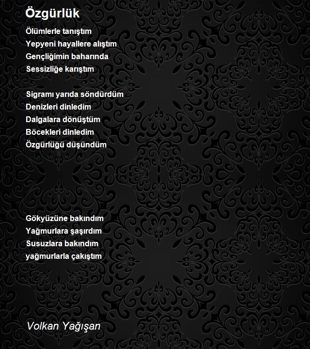 Volkan Yağışan