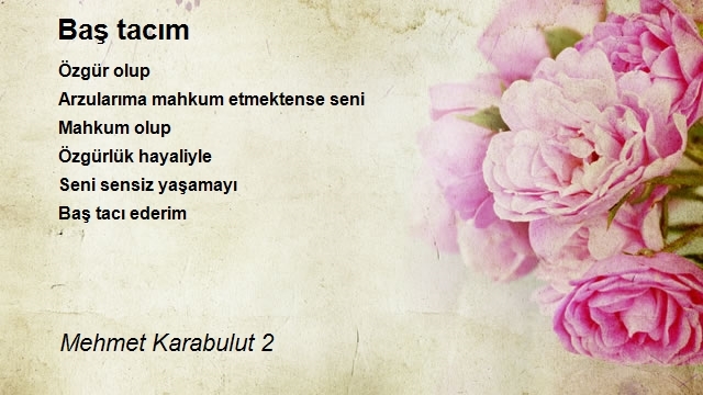 Mehmet Karabulut 2
