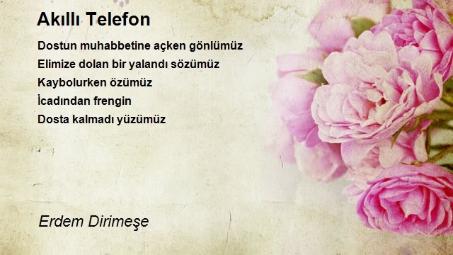 Erdem Dirimeşe