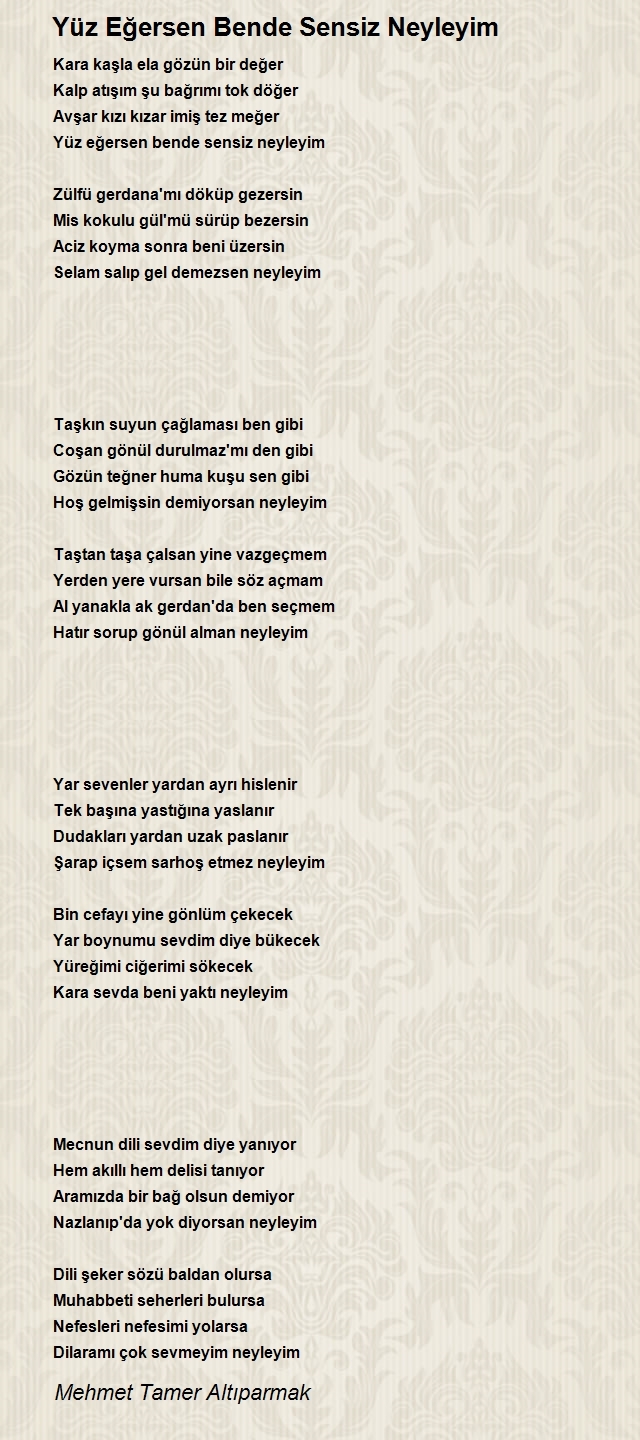 Mehmet Tamer Altıparmak