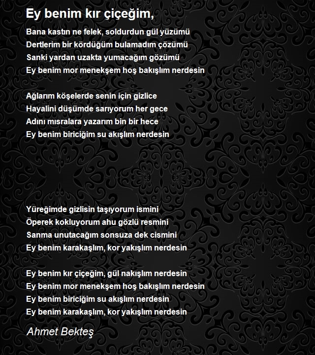 Ahmet Bekteş