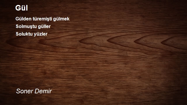 Soner Demir