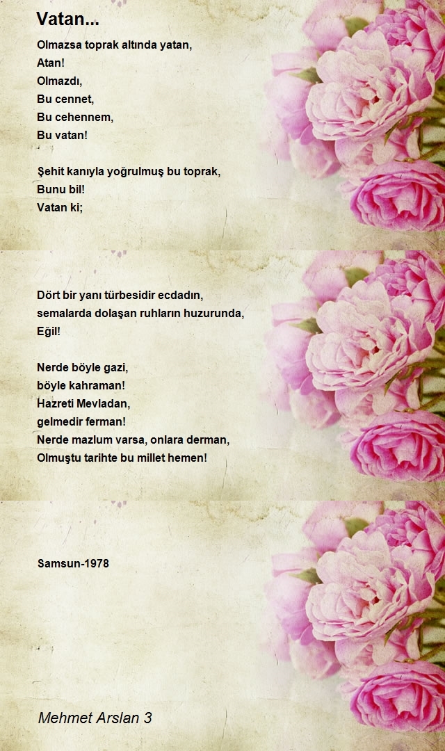 Mehmet Arslan 3