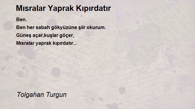 Tolgahan Turgun