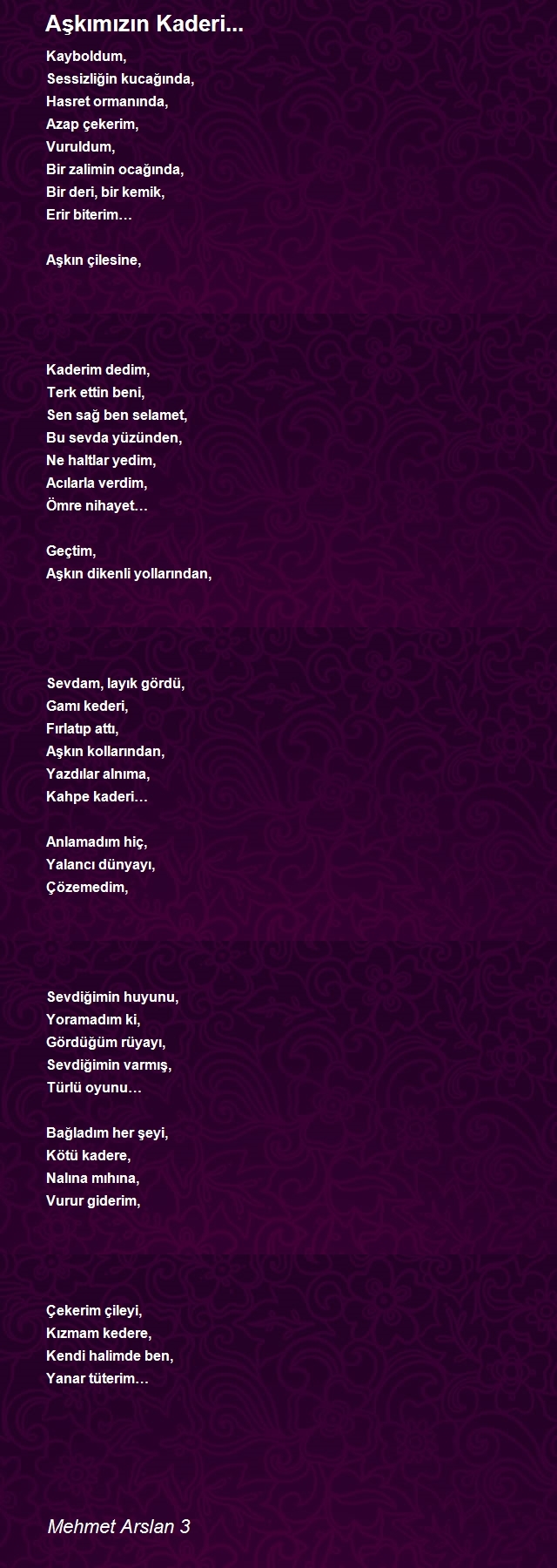 Mehmet Arslan 3