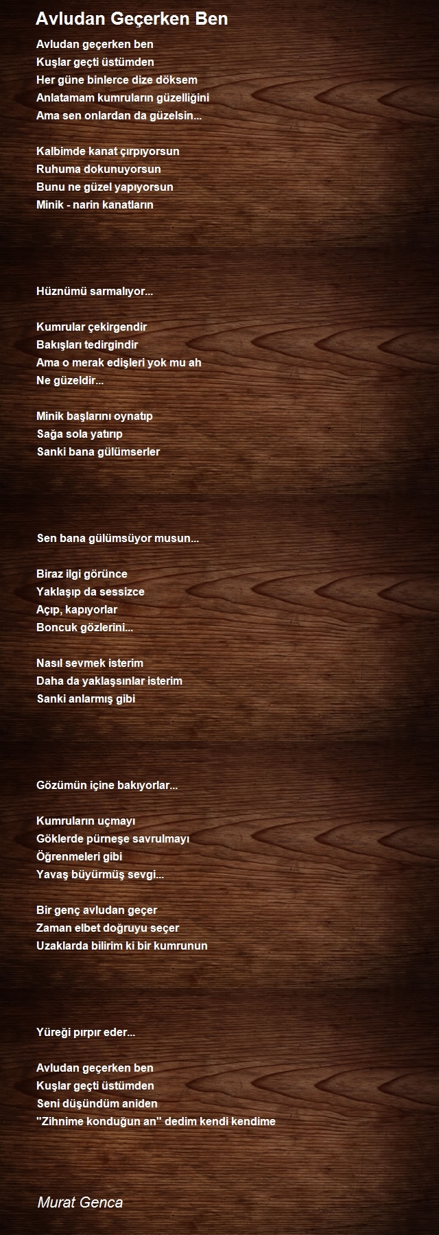 Murat Genca