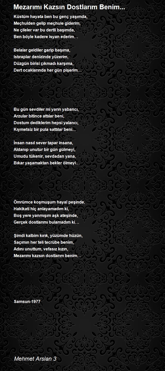 Mehmet Arslan 3