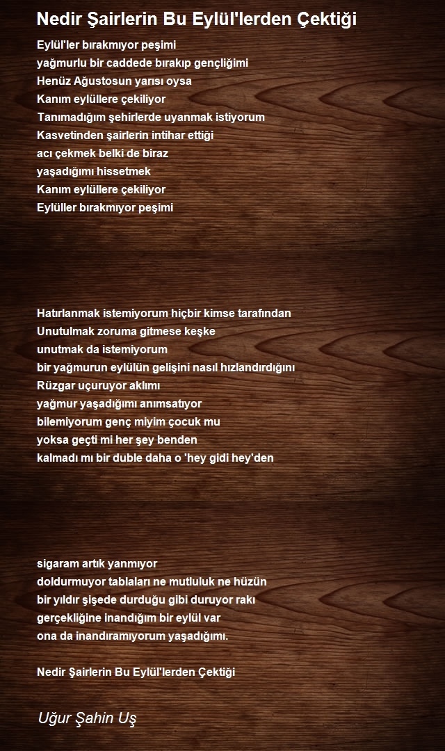 Uğur Şahin Uş