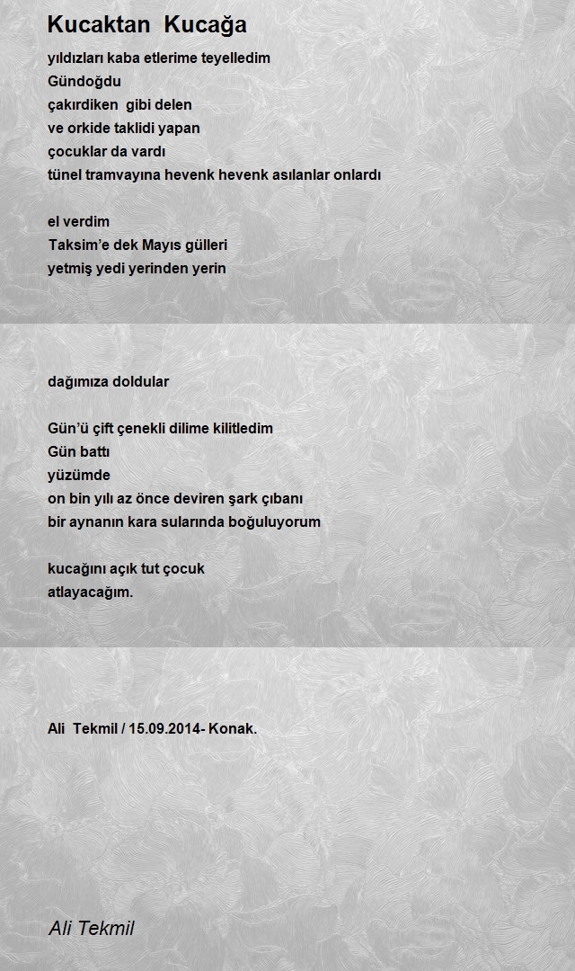 Ali Tekmil
