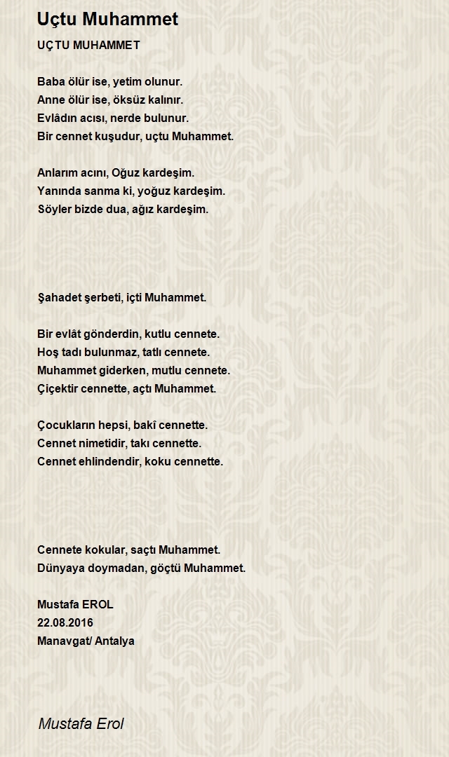 Mustafa Erol