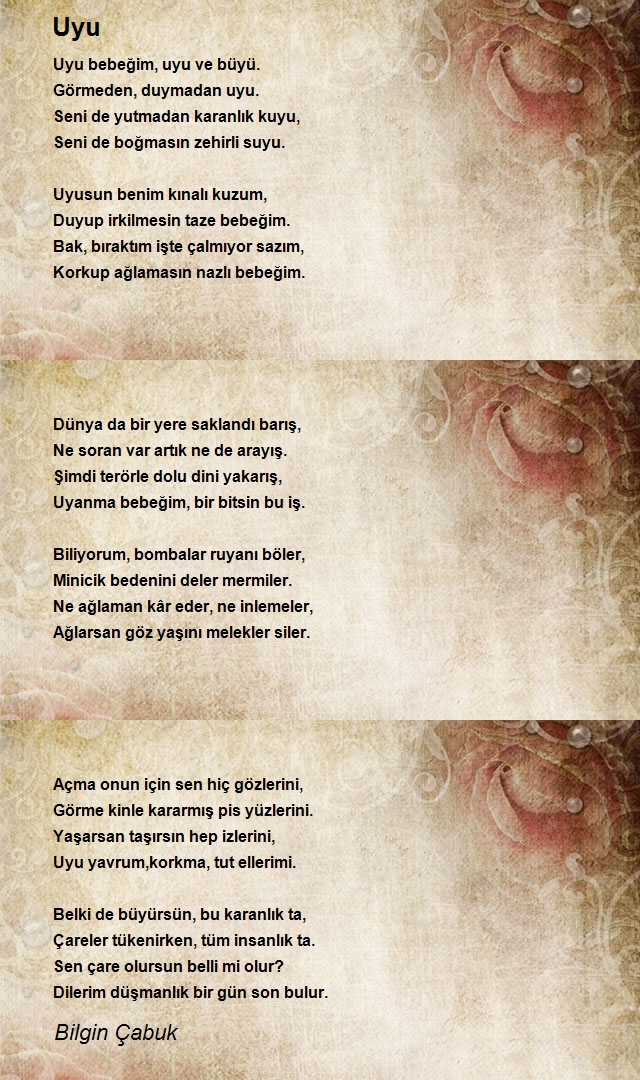 Bilgin Çabuk