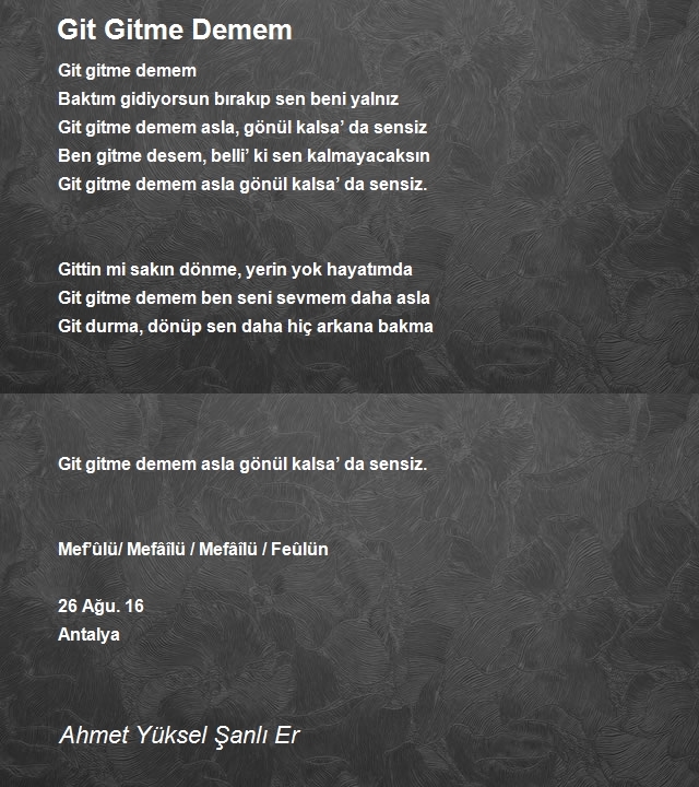 Ahmet Yüksel Şanlı Er