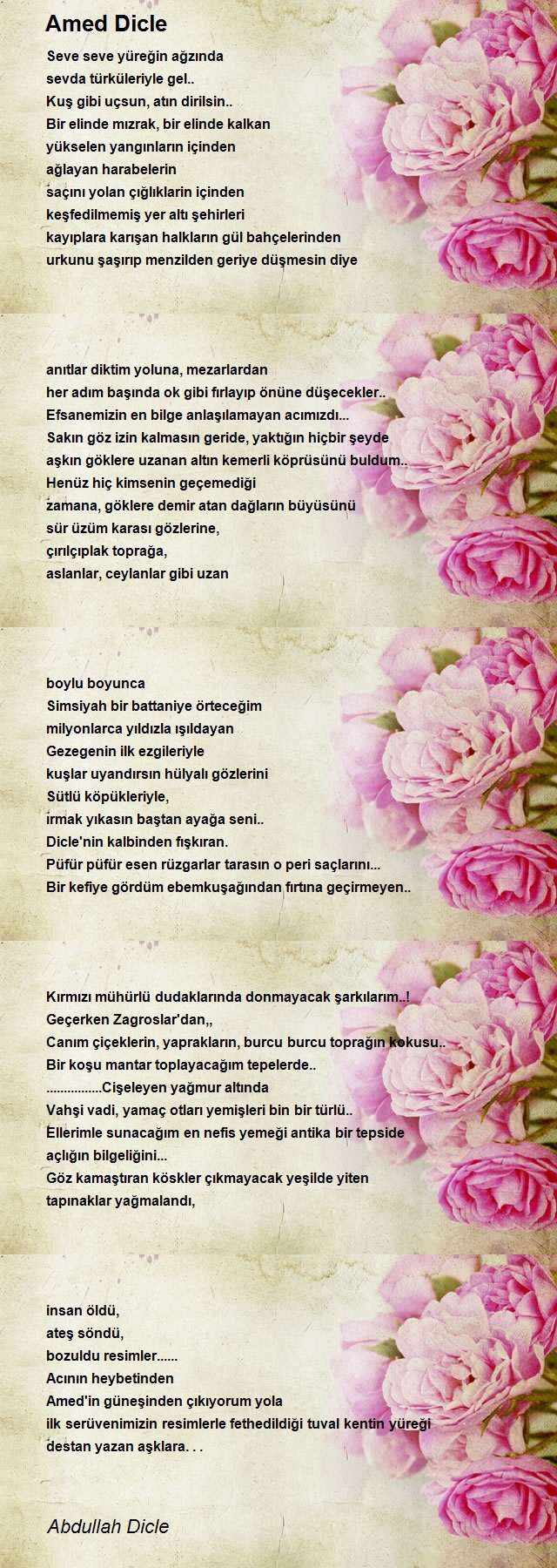 Abdullah Dicle
