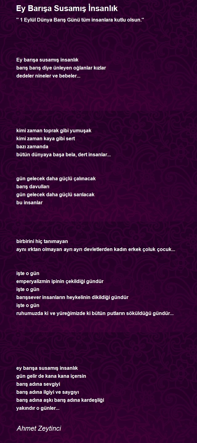 Ahmet Zeytinci