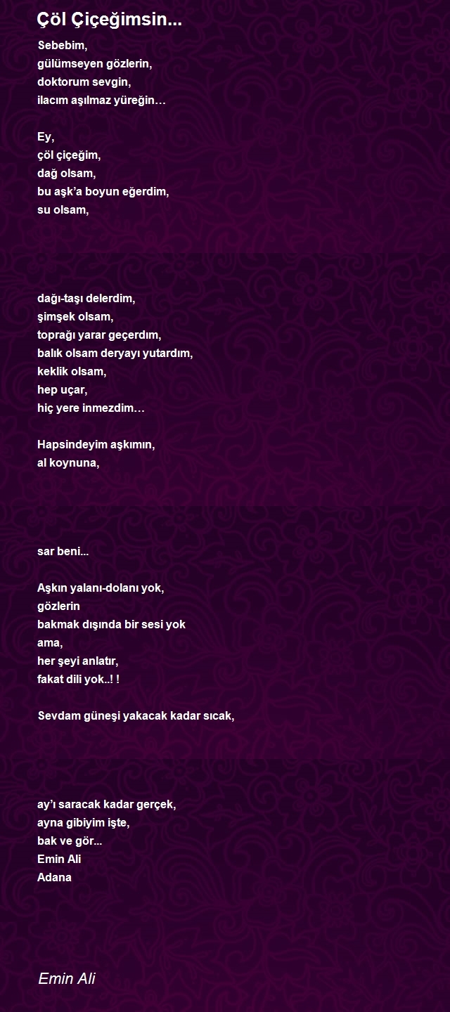 Emin Ali