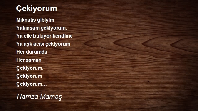 Hamza Mamaş