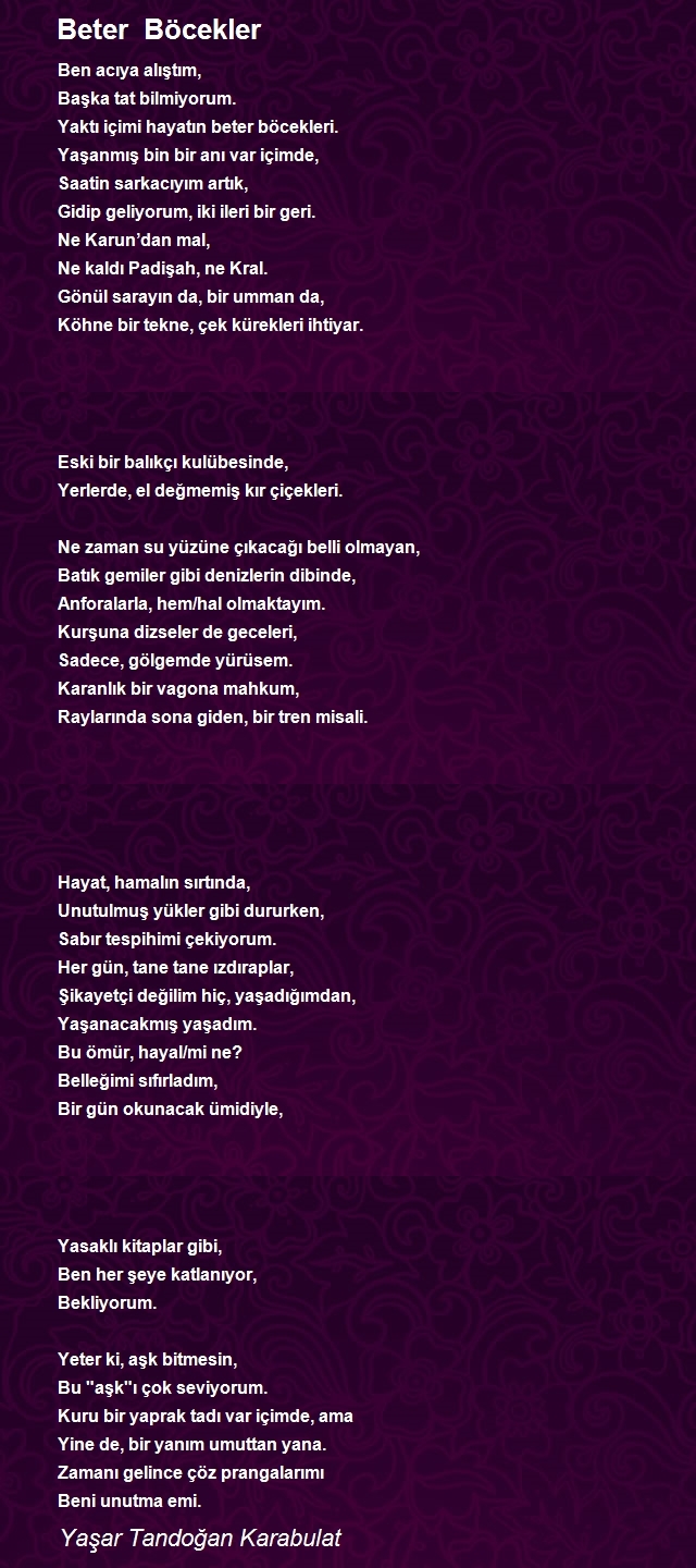 Yaşar Tandoğan Karabulat