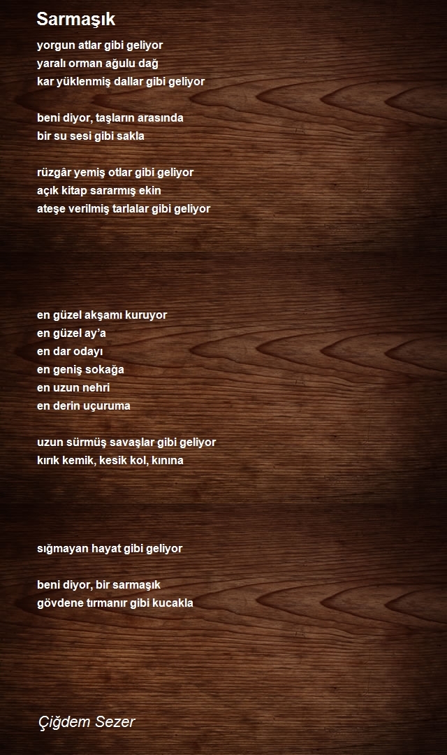 Çiğdem Sezer