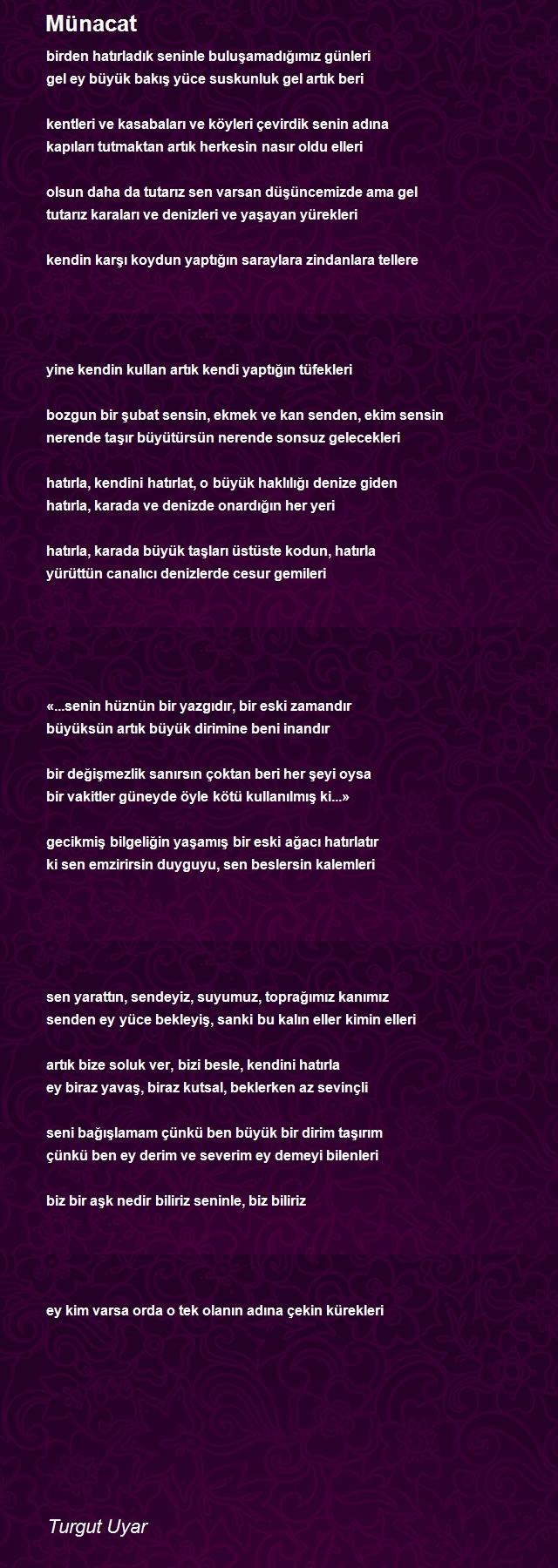 Turgut Uyar