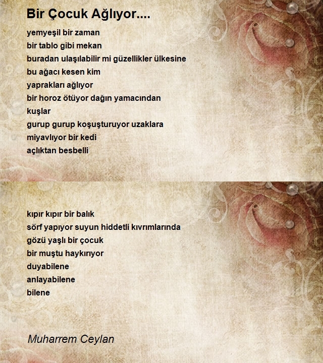 Muharrem Ceylan