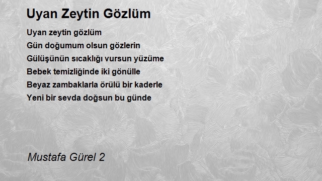 Mustafa Gürel 2