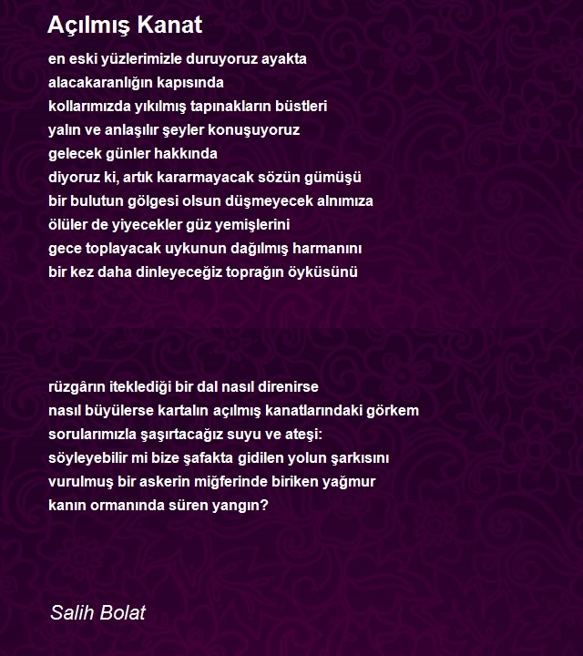 Salih Bolat
