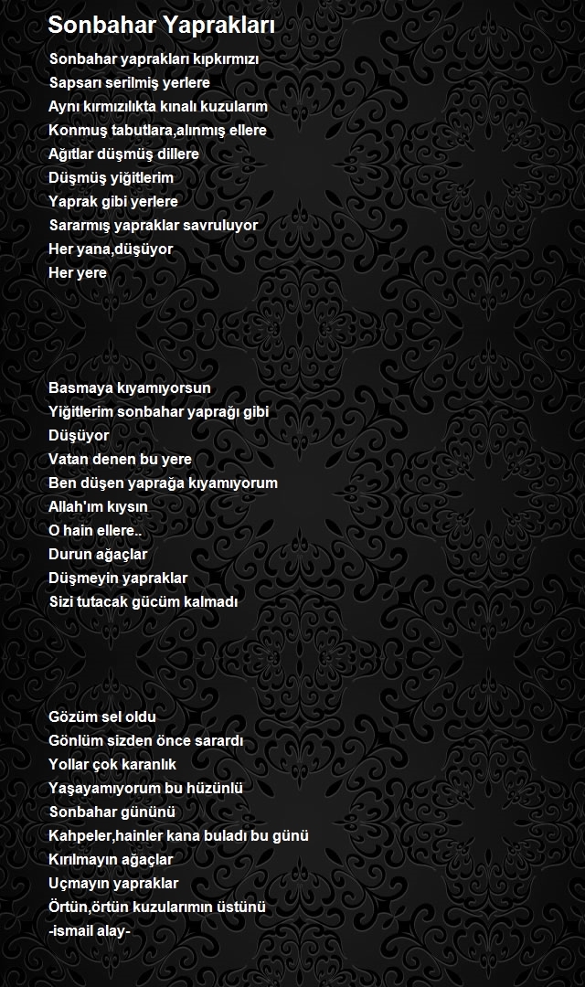 İsmail Alay