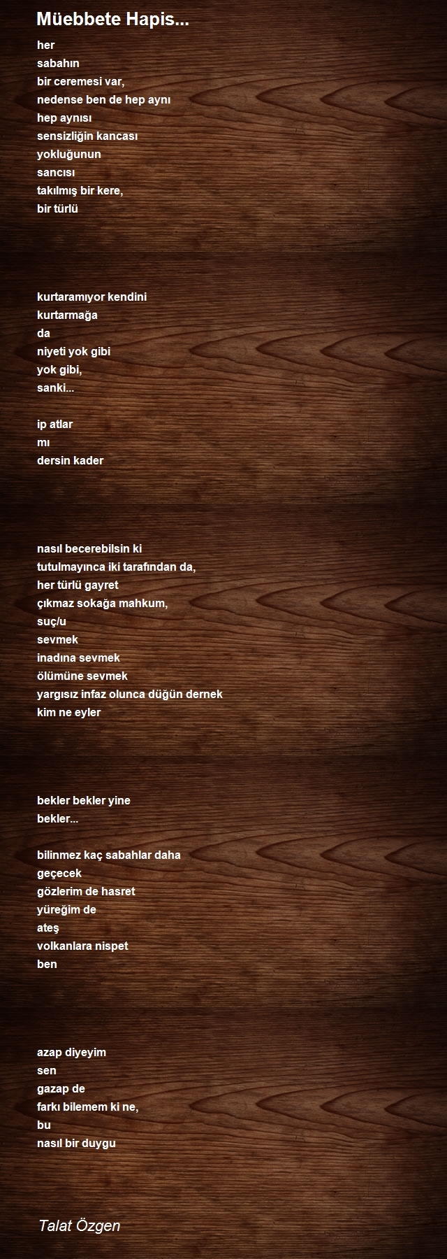 Talat Özgen