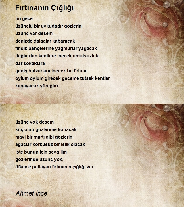 Ahmet İnce