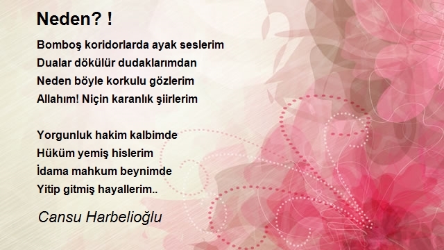 Cansu Harbelioğlu