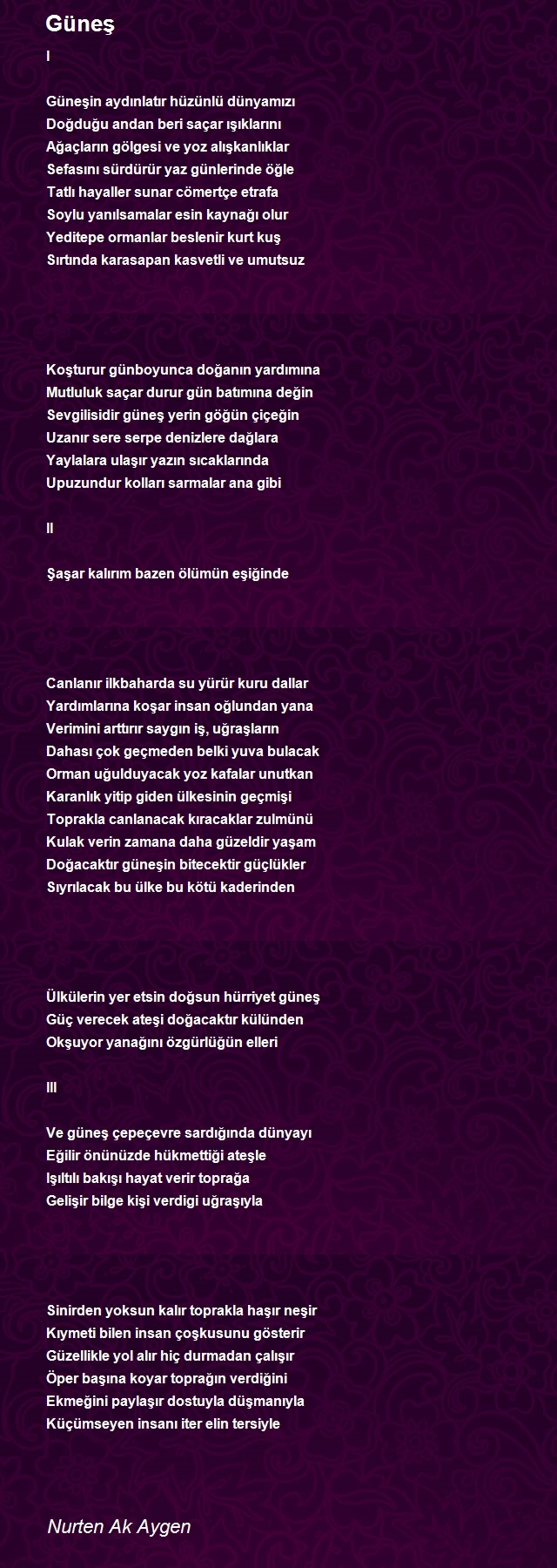 Nurten Ak Aygen