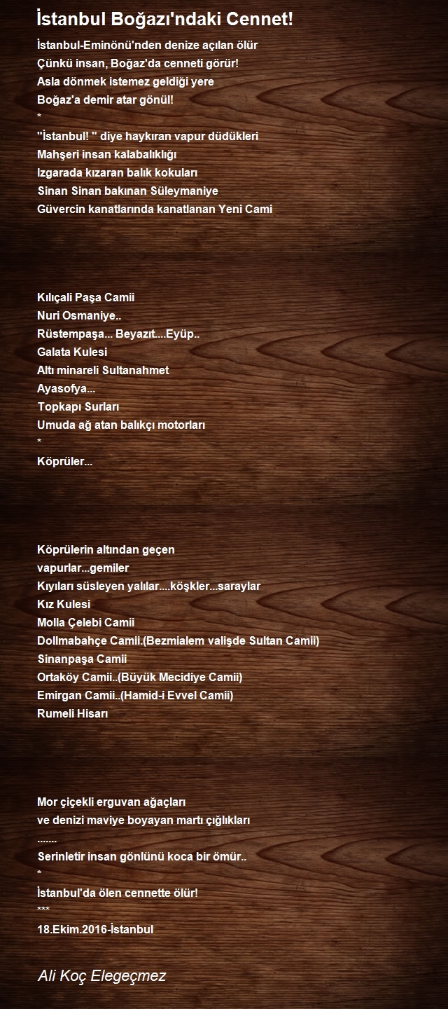 Ali Koç Elegeçmez