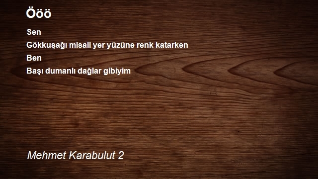 Mehmet Karabulut 2