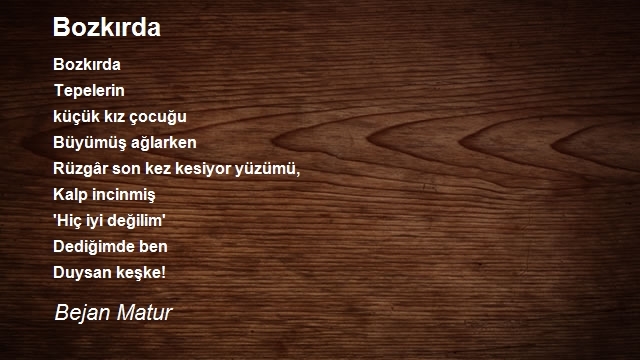 Bejan Matur