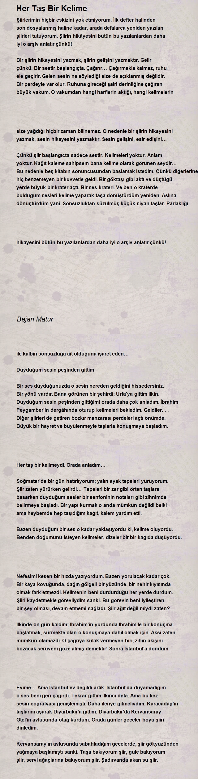 Bejan Matur