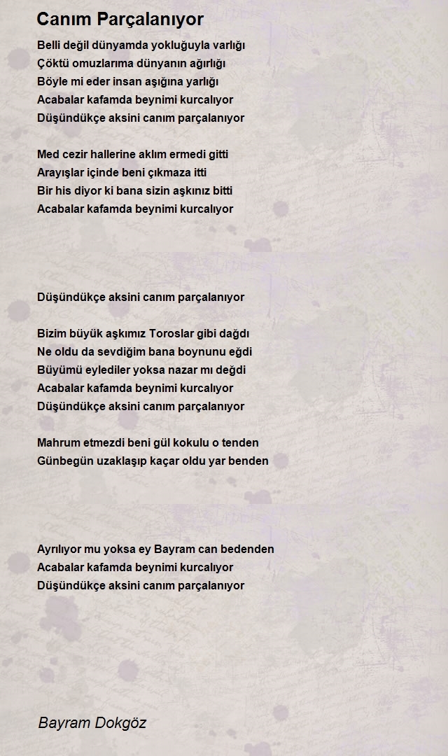 Bayram Dokgöz