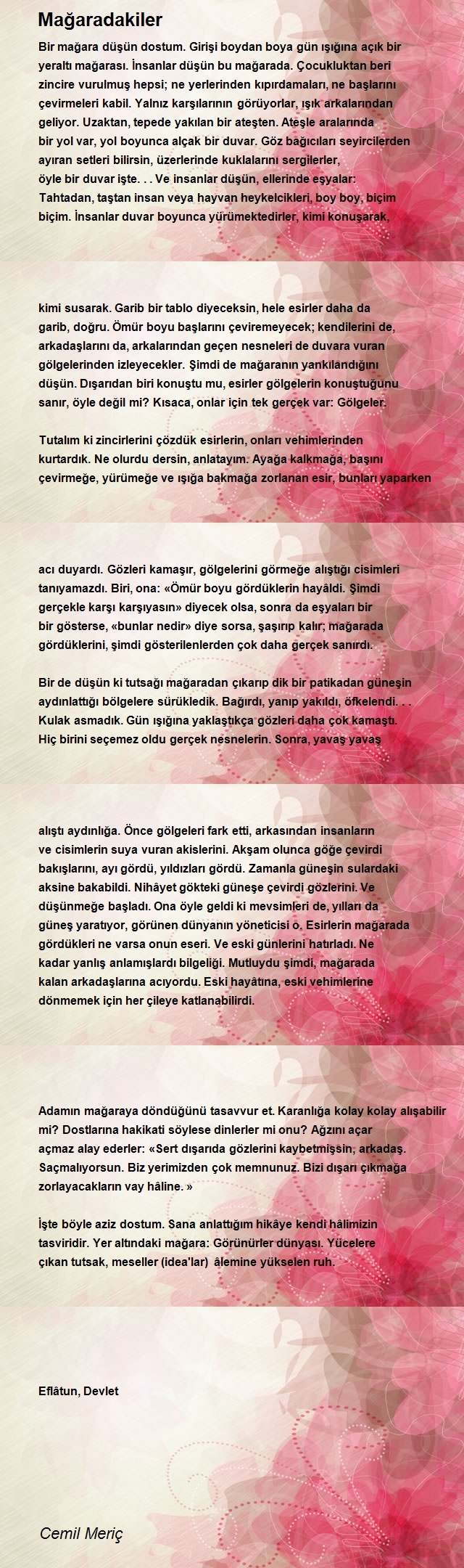 Cemil Meriç