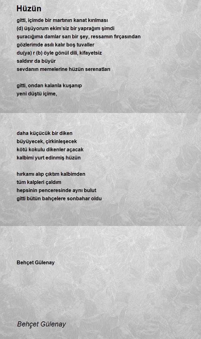 Behçet Gülenay