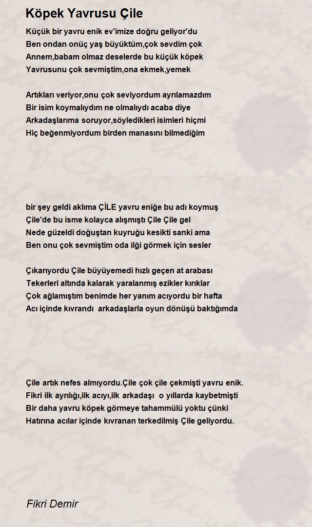 Fikri Demir