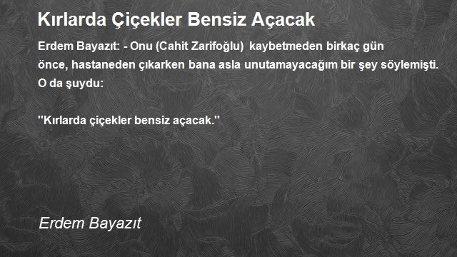 Erdem Bayazıt