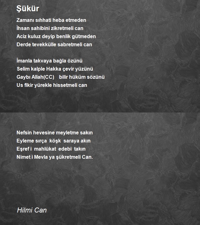 Hilmi Can